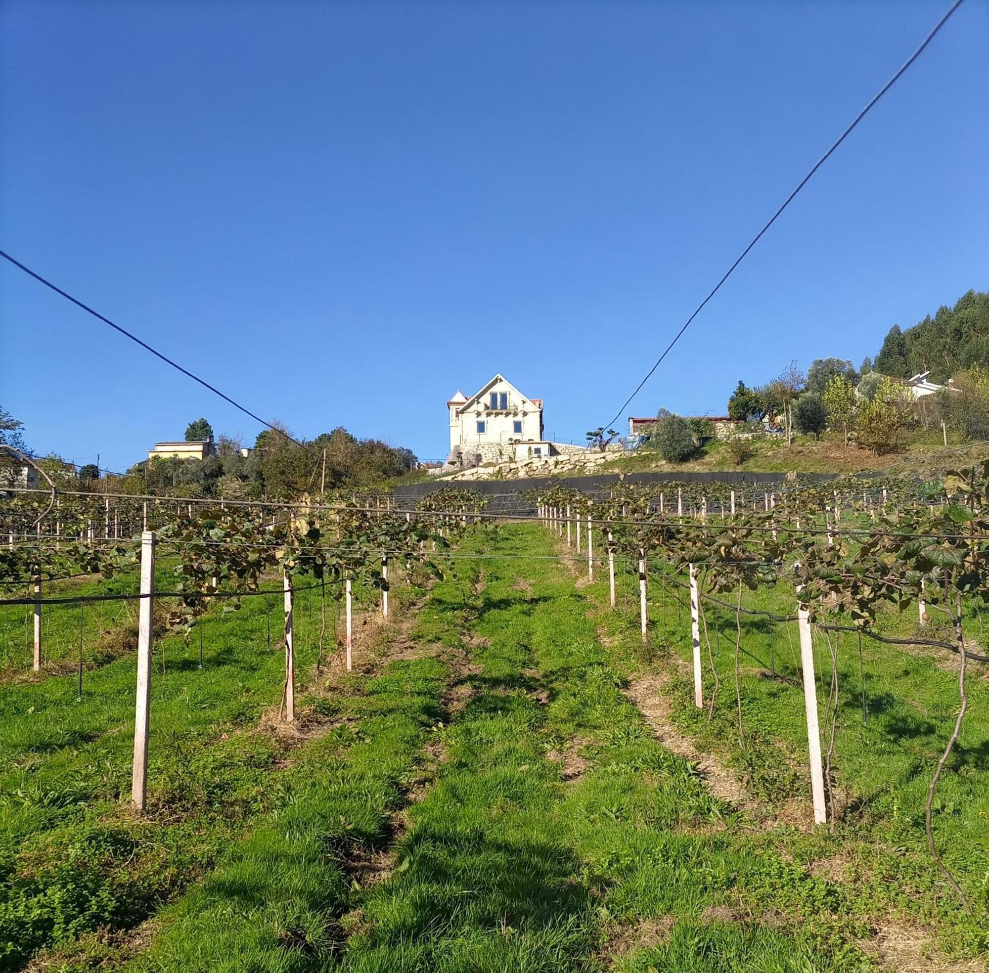 Quinta Do Bairro Villa Vieira do Minho Dış mekan fotoğraf