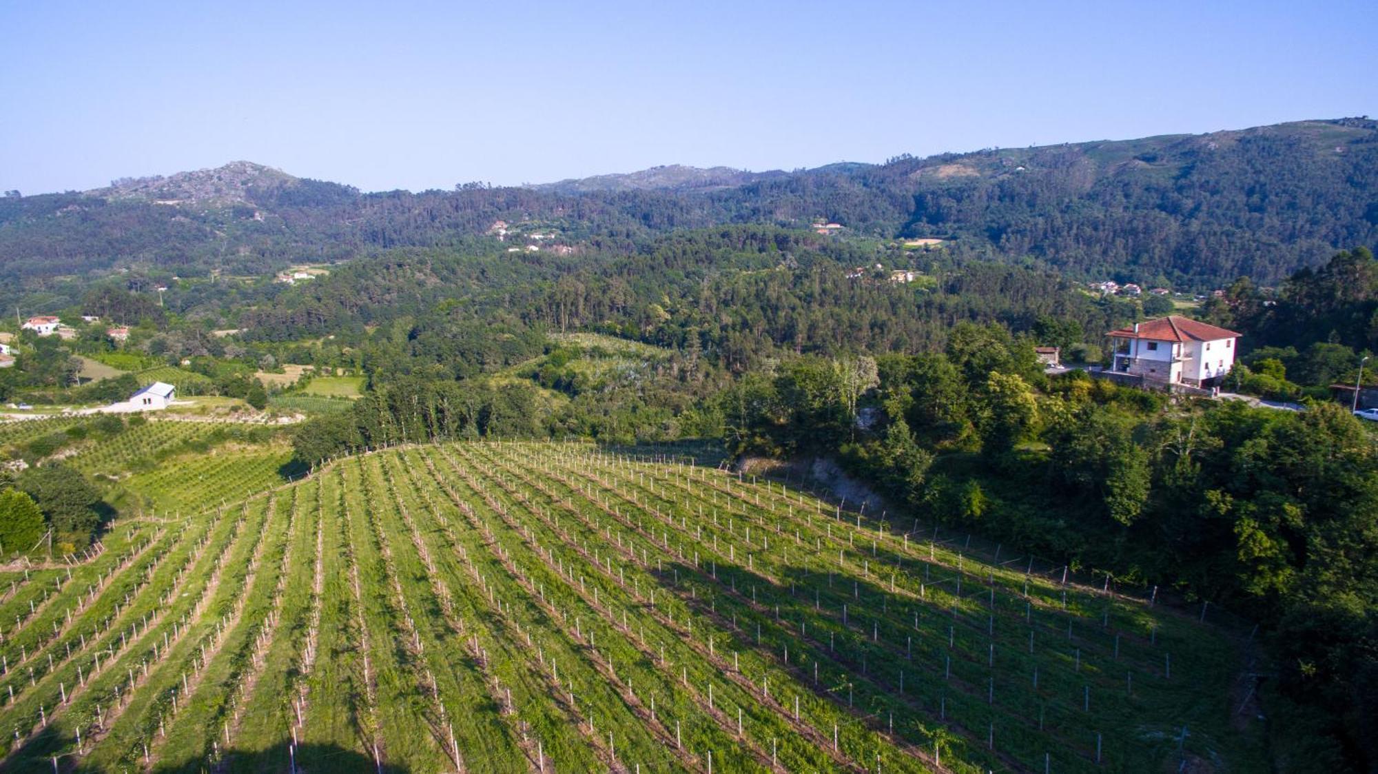Quinta Do Bairro Villa Vieira do Minho Dış mekan fotoğraf