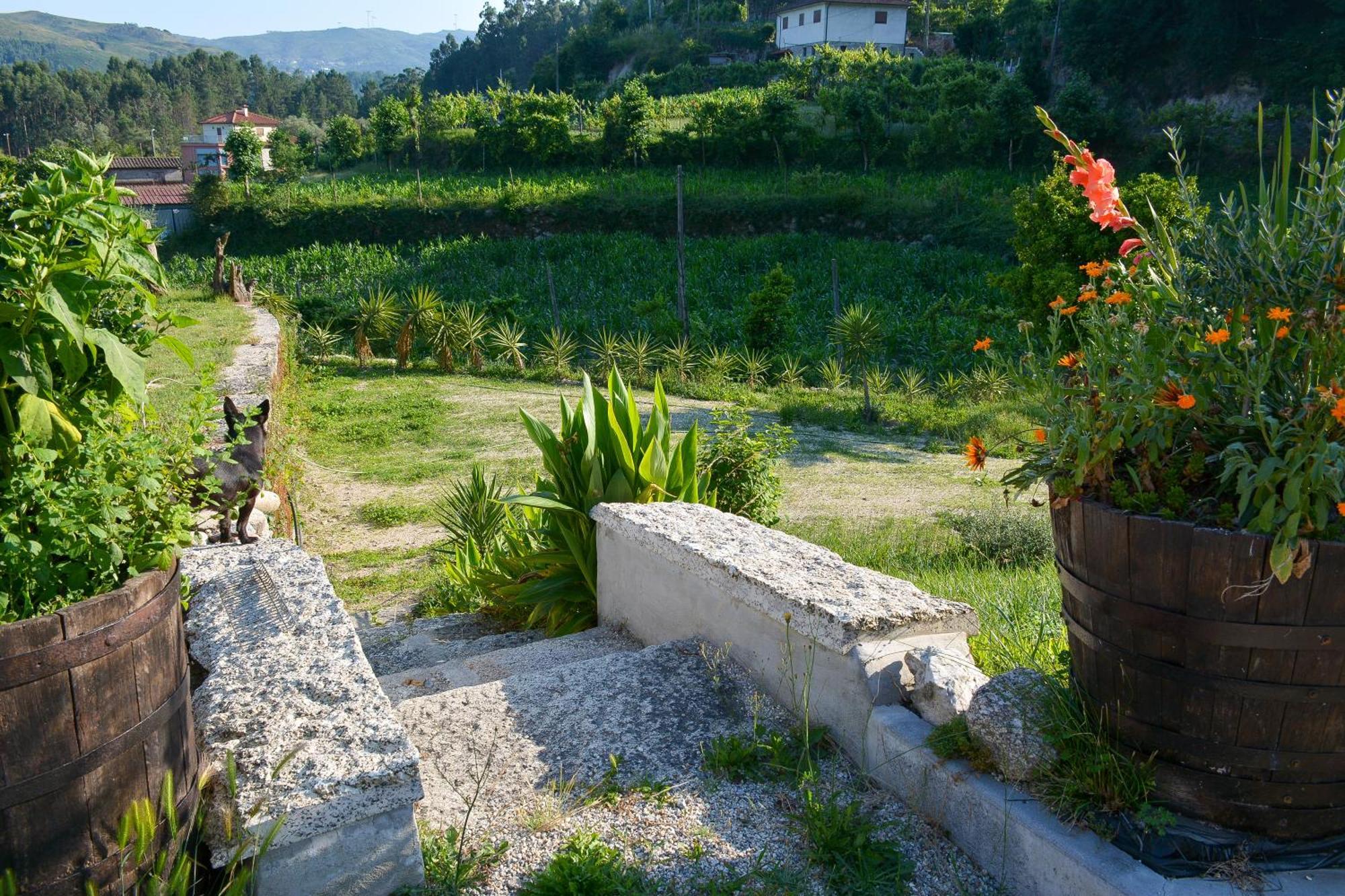 Quinta Do Bairro Villa Vieira do Minho Dış mekan fotoğraf